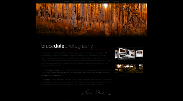 brucedale.com