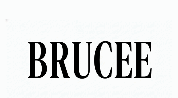 brucee.in