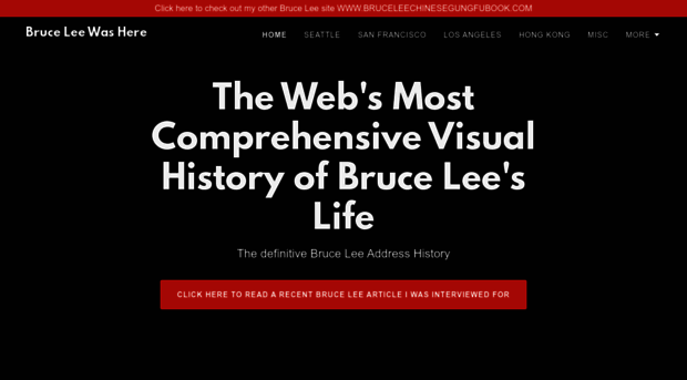 bruceleewashere.com