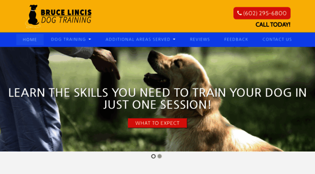 brucelincisdogtraining.com