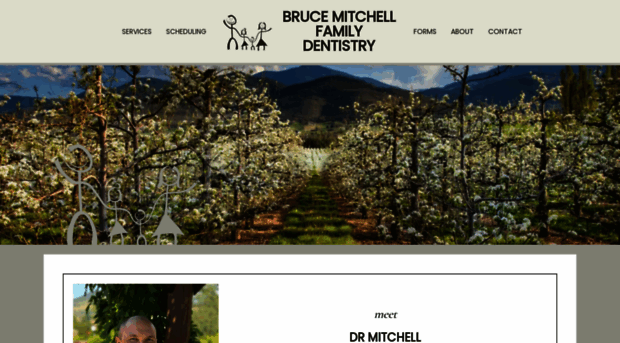 brucemitchellfamilydentistry.com