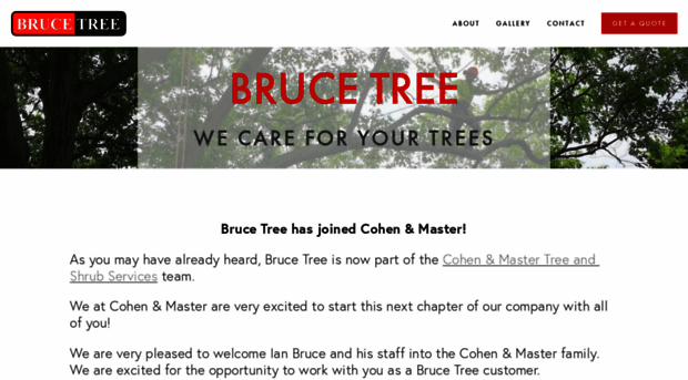 brucetree.com