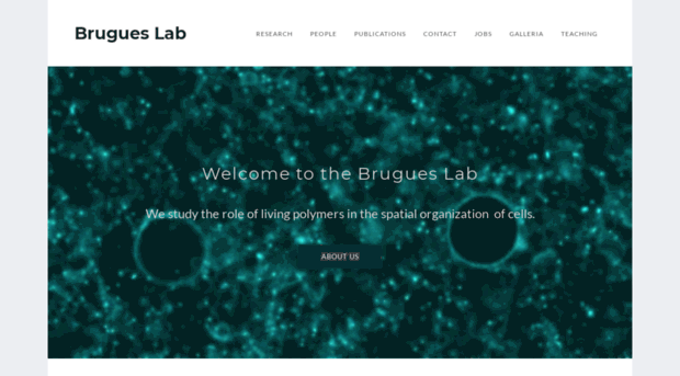 brugueslab.com