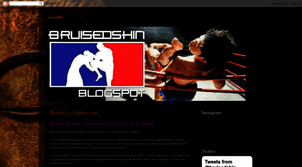 bruisedshin.blogspot.com