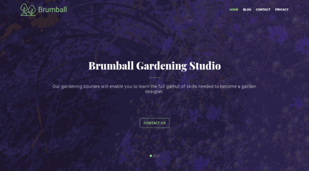 brumball.com