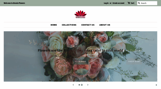 bruniaflower.com