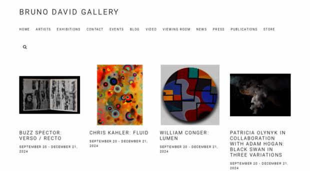 brunodavidgallery.com