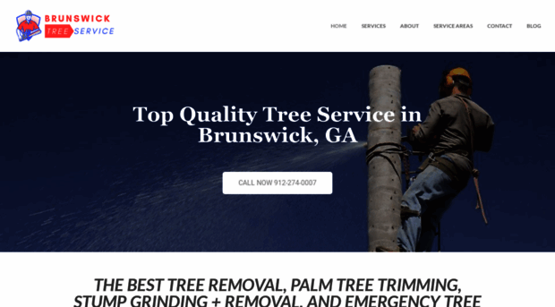 brunswicktreeservices.com