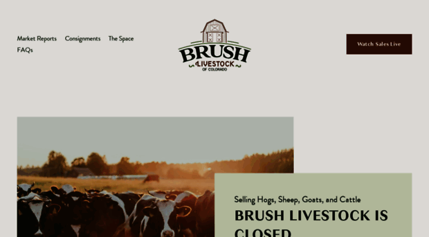 brushlivestock.com