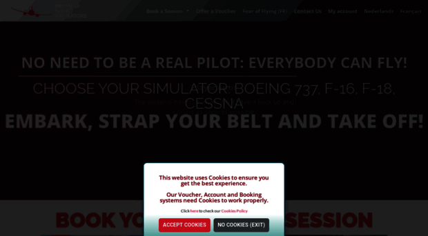 brusselsflightsimulators.com