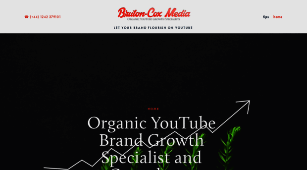 brutoncoxmedia.com