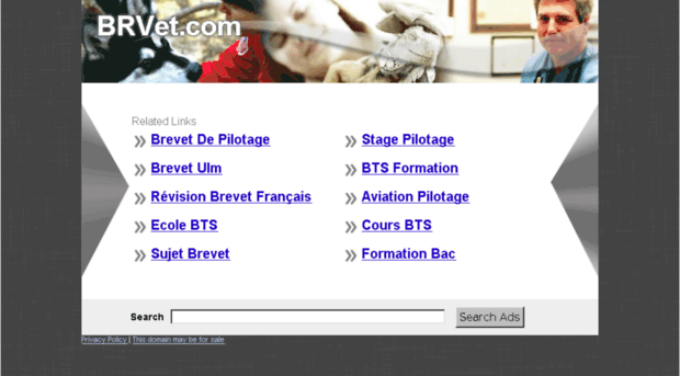 brvet.com