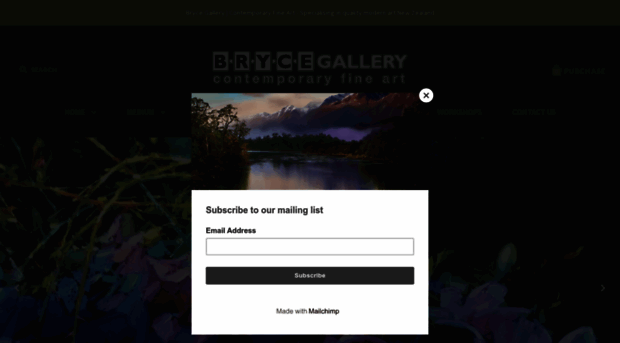 brycegallery.co.nz