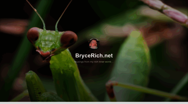 brycerich.net