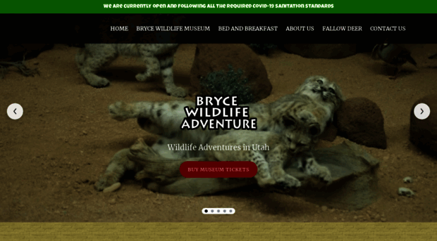 brycewildlifeadventure.com