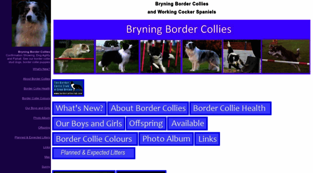 bryningbordercollies.com