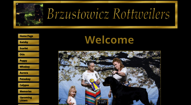 brzustowiczrottweilers.com