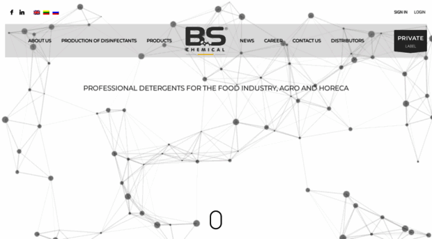 bs-chemical.com