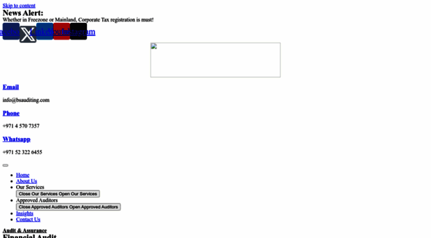 bsauditing.com