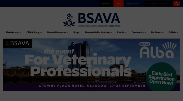 bsava.com