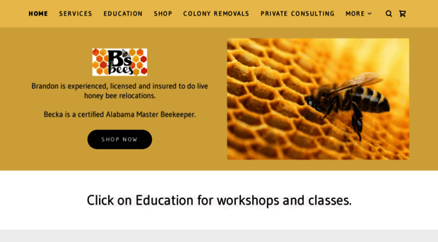 bsbees.com