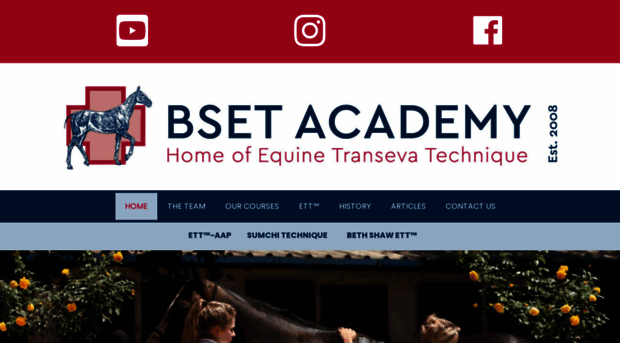 bsetacademy.co.za