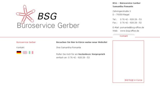 bsg-office.de