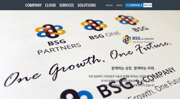 bsgglobal.com