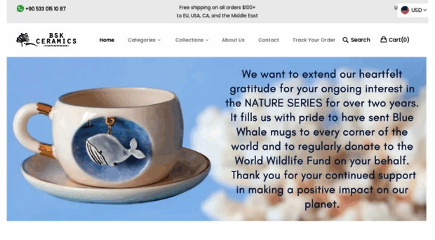 bskceramics.com