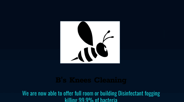 bskneescleaningltd.co.uk