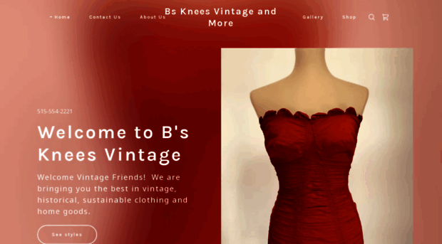 bskneesvintage.com