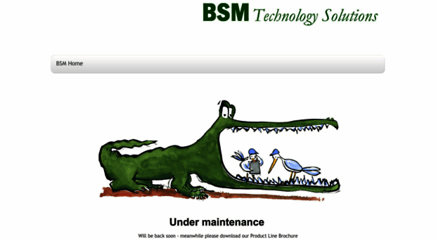 bsm-techsolutions.com