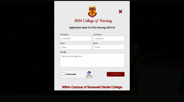 bsmnursing.com