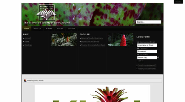 bsnz.org