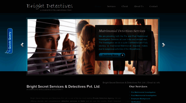 bssdetectives.com