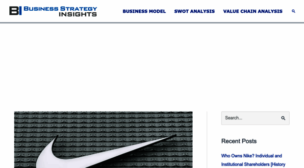 bstrategyinsights.com