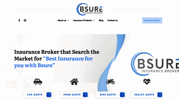 bsureinsurance.com