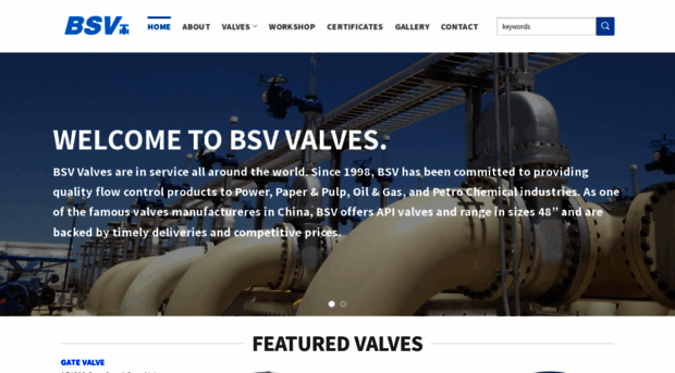 bsvalves.com