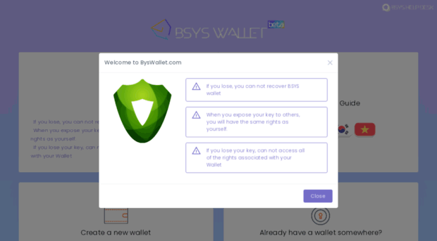 bsyswallet.com