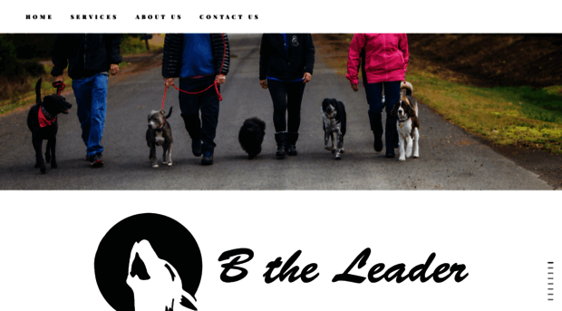 btheleaderdogtraining.com