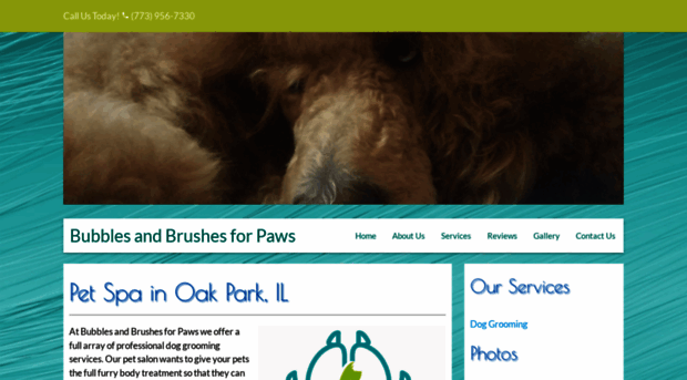 bubblesandbrushesforpaws.com