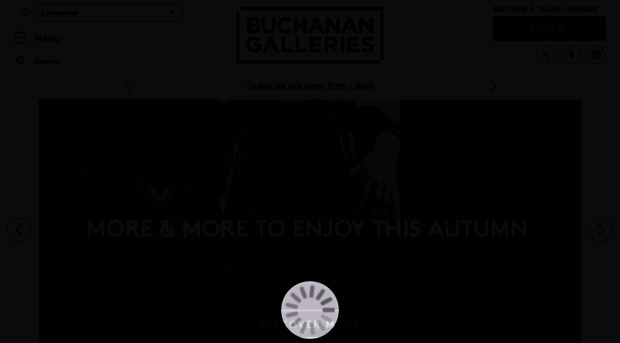 buchanangalleries.co.uk