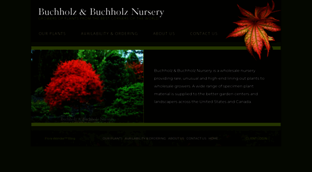 buchholznursery.com