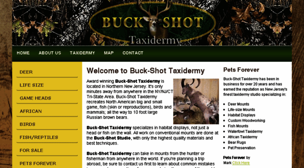 buck-shottaxidermy.com