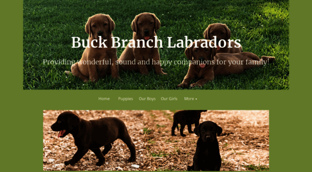 buckbranchlabs.com