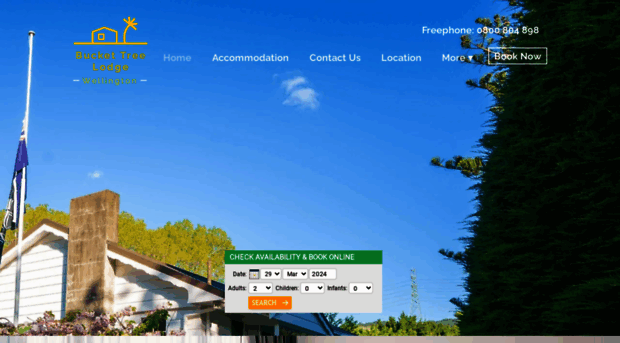 bucket-tree.co.nz