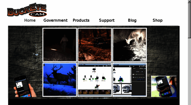 buckeyecam.com