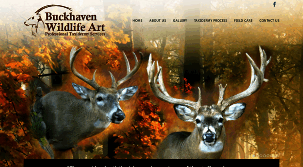 buckhavenwildlifeart.com