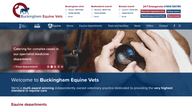 buckinghamequinevets.com