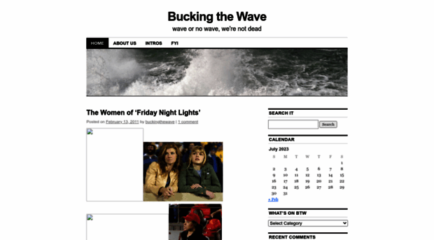 buckingthewave.wordpress.com